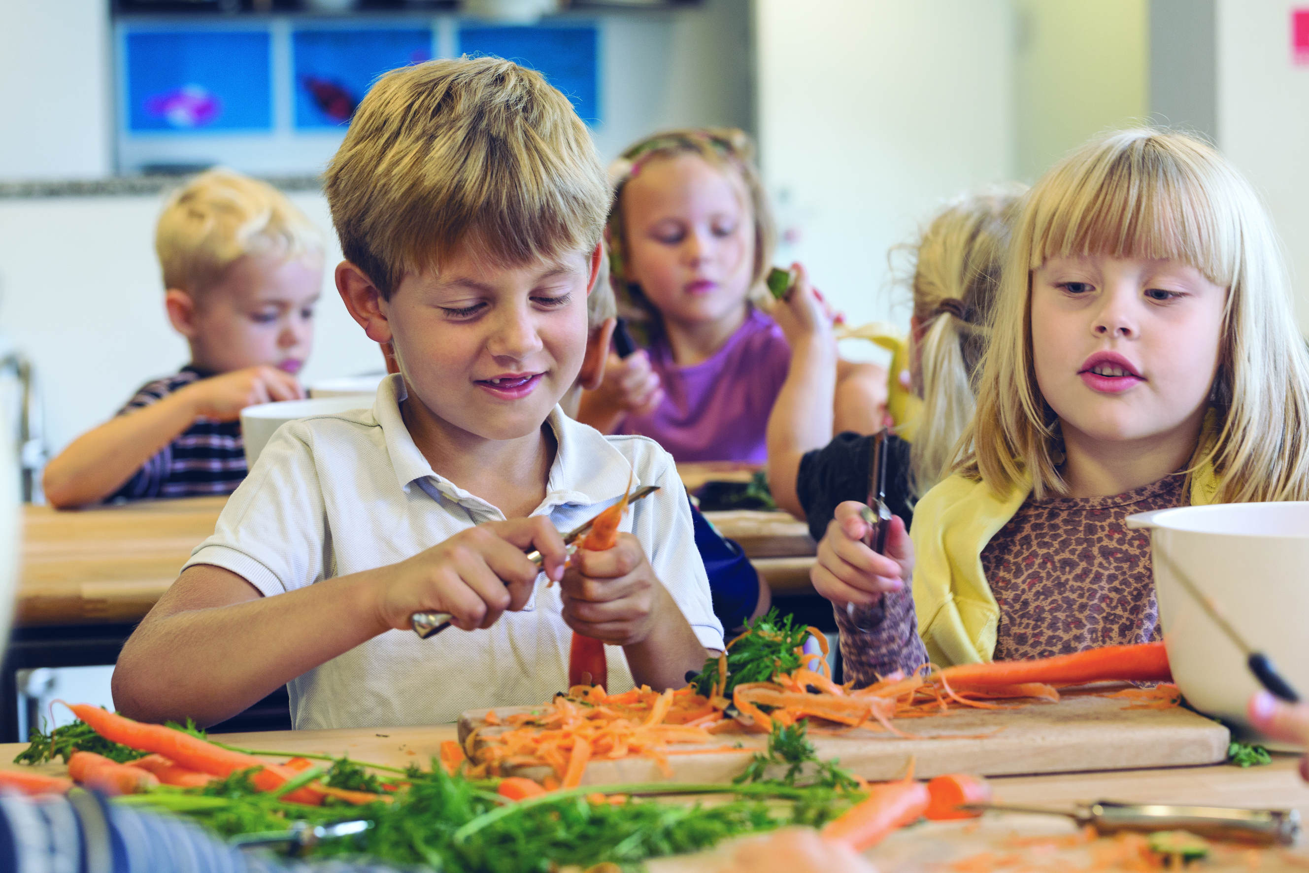 projekt Sund Skole - Kragelund Kommunikation